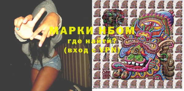 ECSTASY Богданович