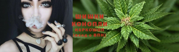 ECSTASY Богданович