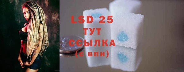 ECSTASY Богданович