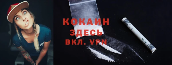 ECSTASY Богданович