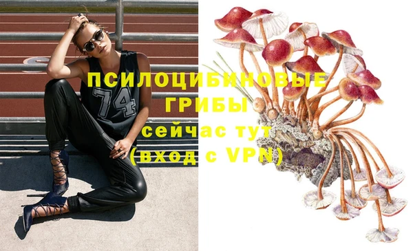марихуана Богородицк