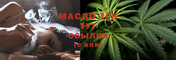 ECSTASY Богданович
